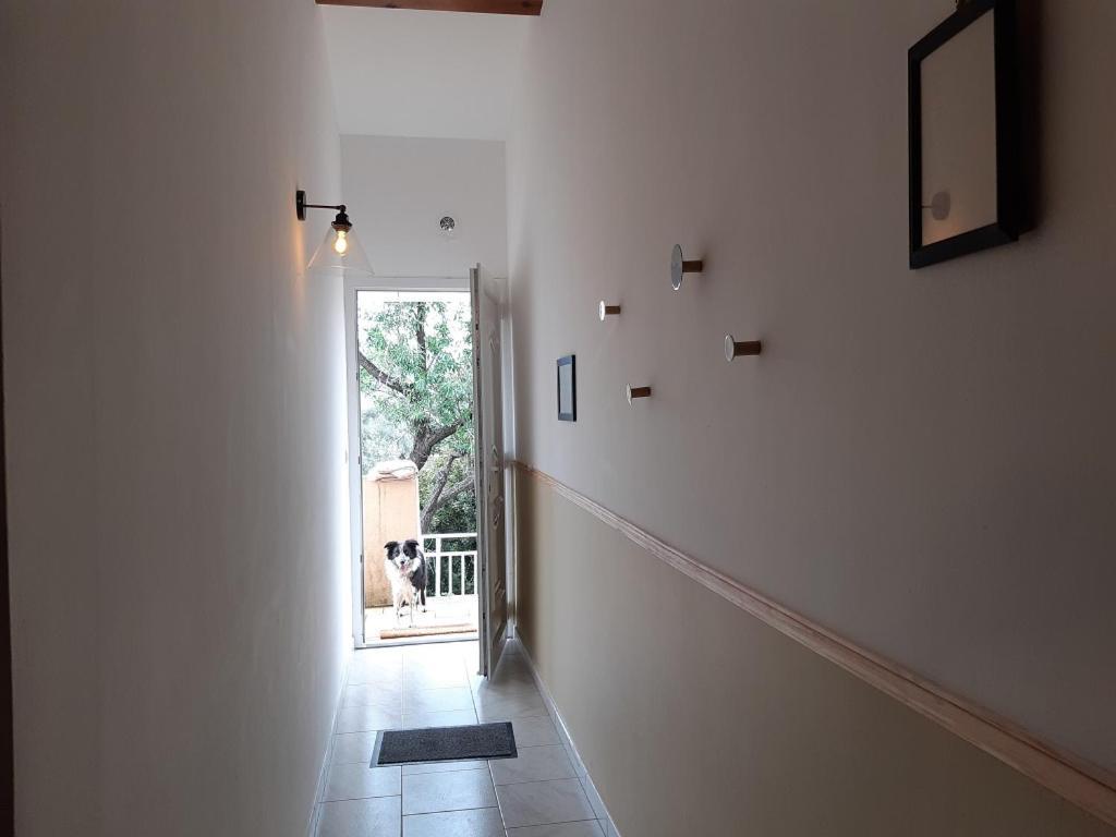 A Casa Di Paulina Apartment Serra di Ferro Bagian luar foto